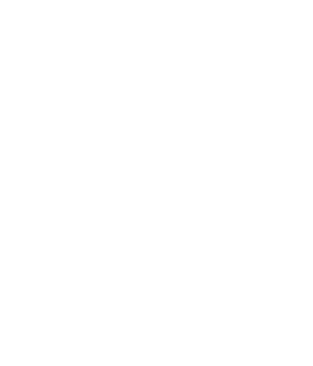 Privacy icon